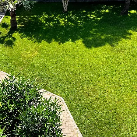 Oasi Di Mare, Con Parcheggio Privato E Colazione * Bordighera