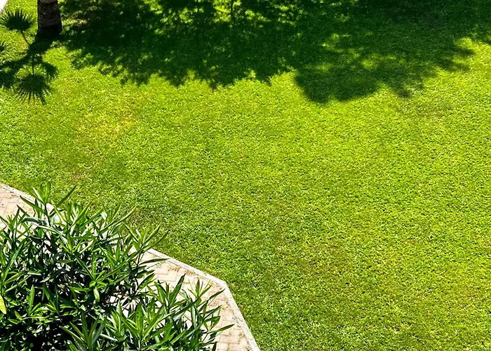 Oasi Di Mare, Con Parcheggio Privato E Colazione 4* 보르디게라